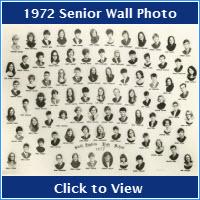 1972 Wall Picture